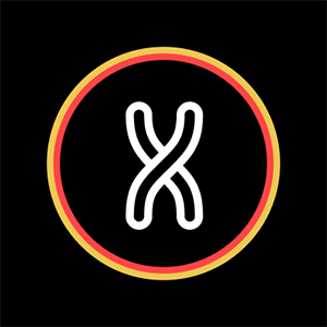 X Browser – Gyors és biztonságos webböngésző Windowsra